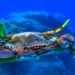 Granchio Blu. A.M.A., calamità per la molluschicoltura