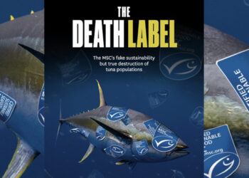 BLOOM. L'etichetta della morte: la falsa sostenibilità di MSC
