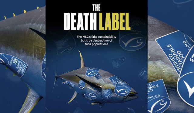 BLOOM. L'etichetta della morte: la falsa sostenibilità di MSC