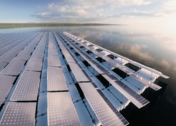 Partecipa al Webinar gratuito “Bando Parco Agrisolare per Aziende Ittiche: Istruzioni per l’uso”