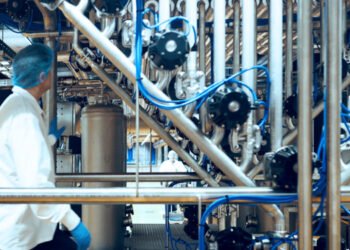 Phycom rivoluziona l'industria alimentare con le microalghe