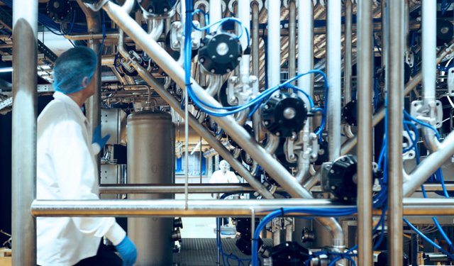 Phycom rivoluziona l'industria alimentare con le microalghe