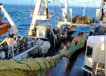 UE, standard globali per condivisione dati sulla pesca