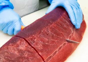 Ultra Low Temperature: conservazione e mantenimento qualità è priorità per il Gruppo Manno
