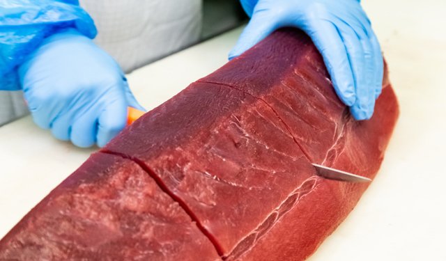 Ultra Low Temperature: conservazione e mantenimento qualità è priorità per il Gruppo Manno