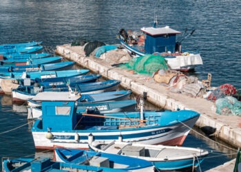 Venerdì 22 evento su pesca artigianale e tonno rosso
