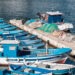 Venerdì 22 evento su pesca artigianale e tonno rosso