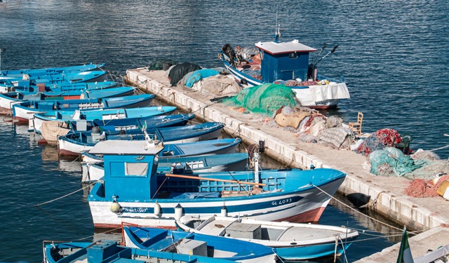Venerdì 22 evento su pesca artigianale e tonno rosso