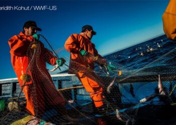 Skretting collabora con WWF e Finance Earth