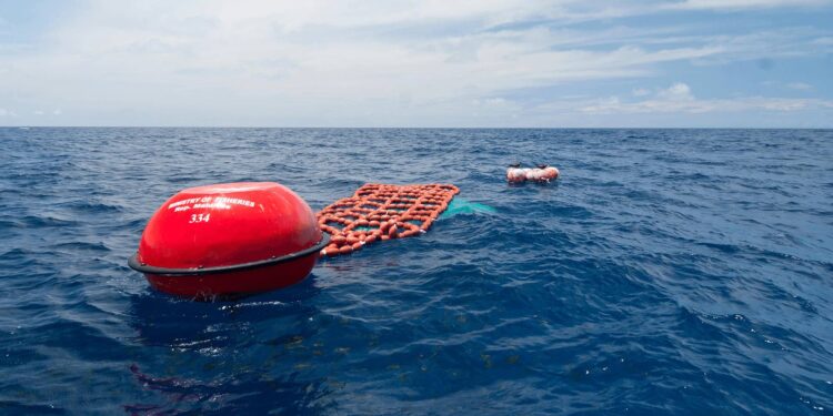 Risposta di MSC al Rapporto di Bloom