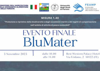 A Ferrara il convegno sul progetto nazionale Blu Mater