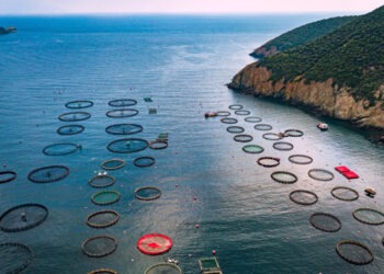 Acquacoltura Greca: tendenze, sfide e prospettive