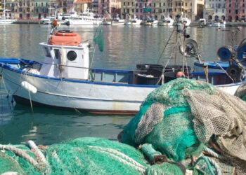 Giornata mondiale della pesca: salvarla per celebrarla ancora