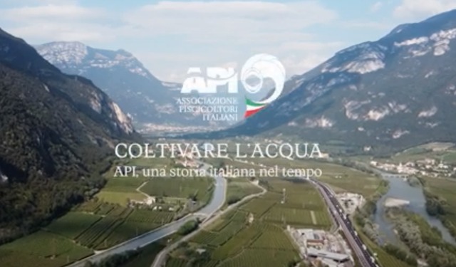 Coltivare l’acqua: API, una storia italiana nel tempo