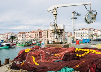 Crisi nel settore della pesca francese