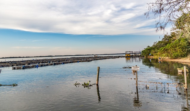 International Fish Congress & Fish Expo Brasil