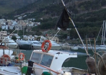 IttiCultura: il pescato siciliano dall’etichetta al piatto