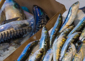 IttiCultura: sensibilizzare i consumatori sulla varietà meno commerciali