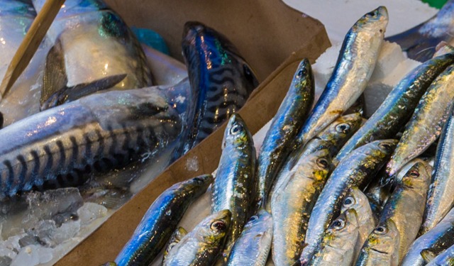 IttiCultura: sensibilizzare i consumatori sulla varietà meno commerciali