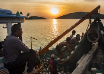 Ittico. Evoluzione nel mercato di esportazione della Thailandia