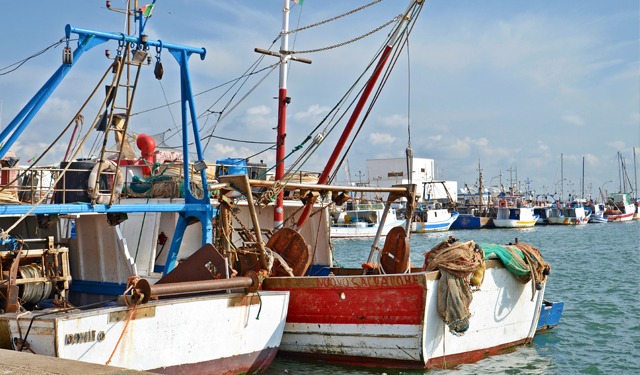 Itticultura, il pescato siciliano dall’etichetta al piatto