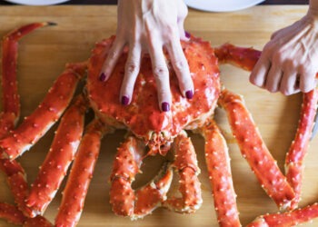King Crab, dal sapore del mare al piacere in tavola