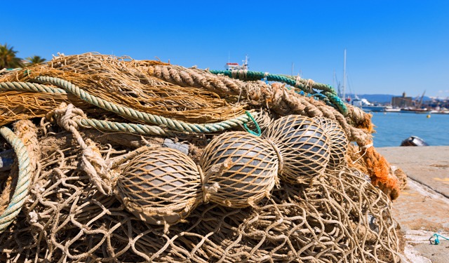 La bussola. Riordino e semplificazione nel settore della pesca professionale italiana