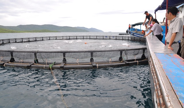 Maggiore collaborazione per l'acquacoltura vietnamita