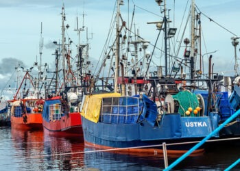 Mar Baltico: raggiunto accordo su possibilità di pesca 2024