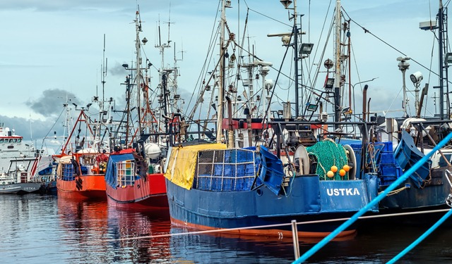 Mar Baltico: raggiunto accordo su possibilità di pesca 2024
