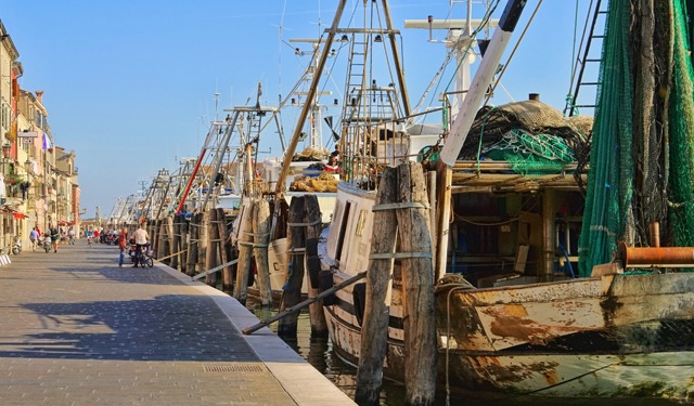 Alleanza Cooperative pronti a lavorare con Masaf a fermo più flessibile
