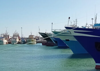 Federpesca: soddisfatti per ricorso italia contro regolamento controlli