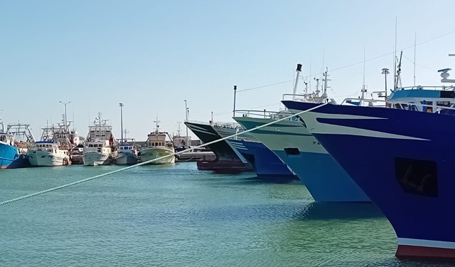 Federpesca: soddisfatti per ricorso italia contro regolamento controlli