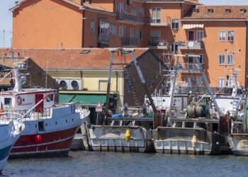 Regolamento controlli. Da Alleanza cooperative appello alla politica per soluzioni equilibrate