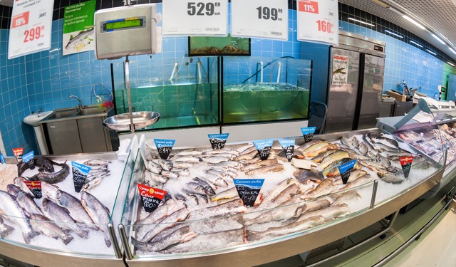 Russia. Embargo sulle importazioni di prodotti ittici fino al 2025