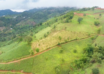 Skretting compagnia del gruppo Nutreco in linea con il nuovo regolamento UE sulla deforestazione
