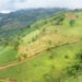 Skretting compagnia del gruppo Nutreco in linea con il nuovo regolamento UE sulla deforestazione
