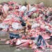 Sottoprodotti ittici: un mercato in crescita 