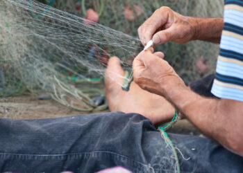 Uila Pesca. Pescatore: un mestiere da mettere in sicurezza