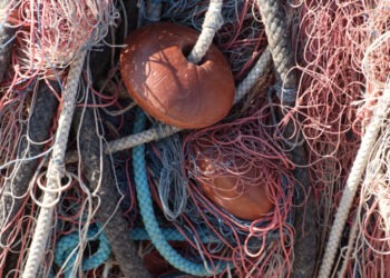 21 novembre, Giornata Mondiale della Pesca