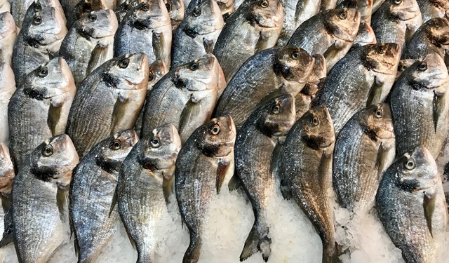 AI e ambiente le principali tendenze di consumo nel 2024