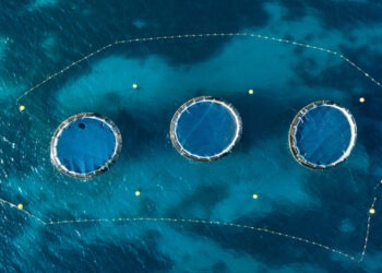Acquacoltura UE: produzione stagnante malgrado i finanziamenti