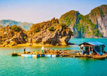 Acquacoltura in Vietnam: verso una sostenibilità responsabile