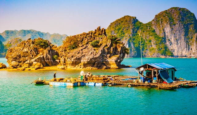 Acquacoltura in Vietnam: verso una sostenibilità responsabile