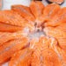 Cresce il mercato globale del salmone