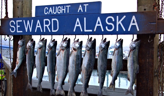 Crisi nel mercato ittico in Alaska