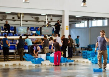 Crisi nell'industria ittica spagnola