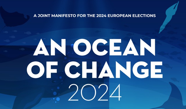 Europee 2024. Le ONG lanciano un manifesto congiunto