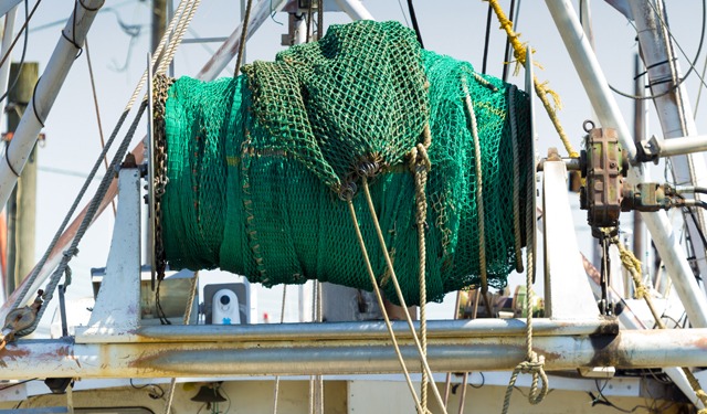FAO-GFCM: nuovo catalogo attrezzi da pesca nel Mediterraneo e nel Mar Nero 