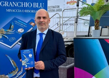 Granchio blu: minaccia o risorsa?
